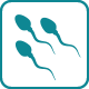 Line icon of three sperm.