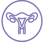 Line icon of a uterus.